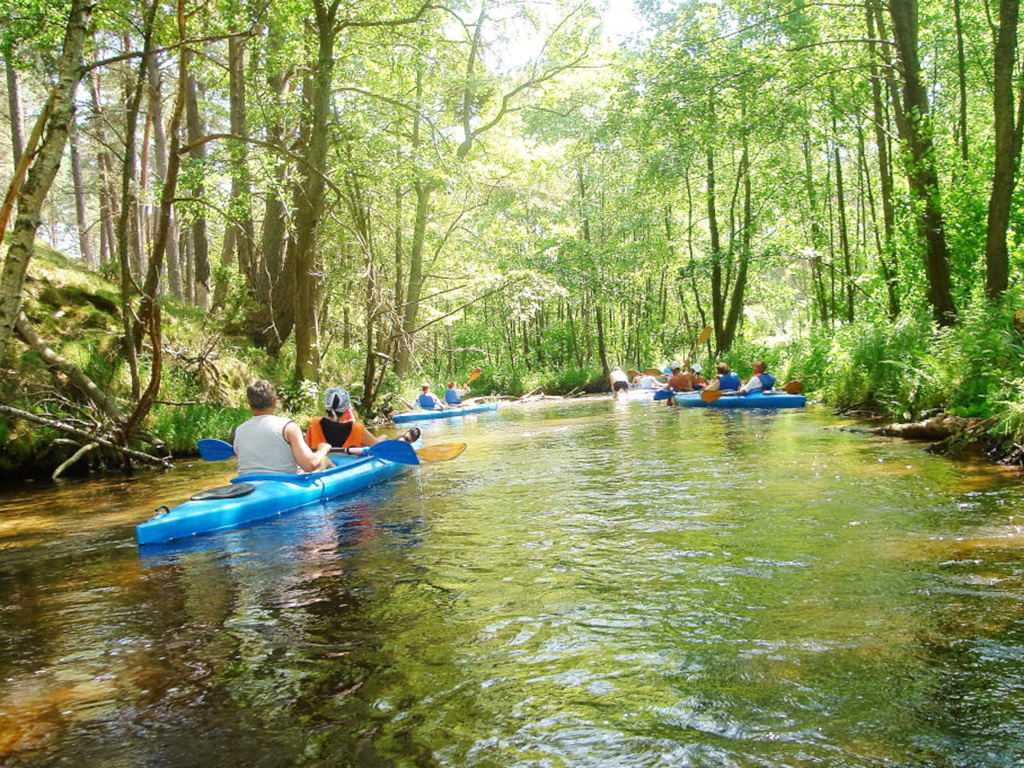 navigo producent sprzetu wodnego